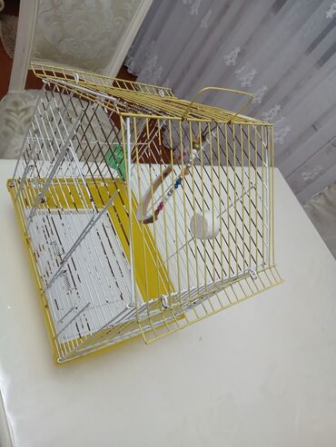 купить клетку для попугая: Quş qəfəsi – ev şəklində damlı dizayn - Material: metal barmaqlıqlar