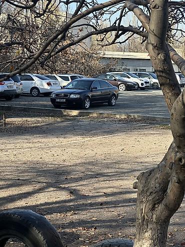 Audi: Audi A6: 2003 г., 2 л, Механика, Бензин, Седан — 8