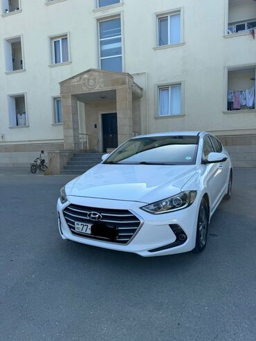 hyundai elantra turbo az: Hyundai Elantra: 1.6 l | 2017 il Sedan