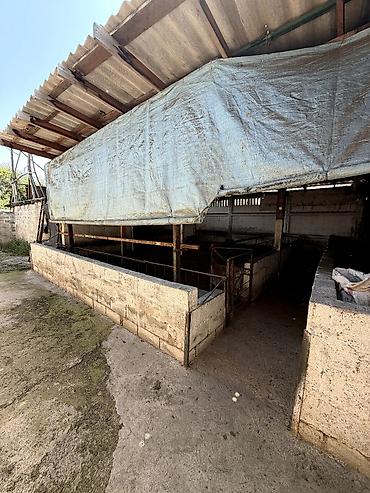 Продажа коттеджей и домов: 3 комнаты, 120 м², 8 соток, Шопоков — 8