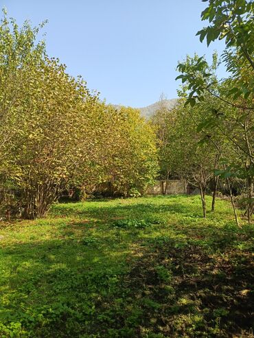 Torpaq sahələrinin satışı: 10 sot, Tikinti, Barter mümkündür, Kupça (Çıxarış) -da lalafo.az — 10 Torpaq sahələrinin satışı: 10 sot, Tikinti, Barter mümkündür, Kupça (Çıxarış) — 10