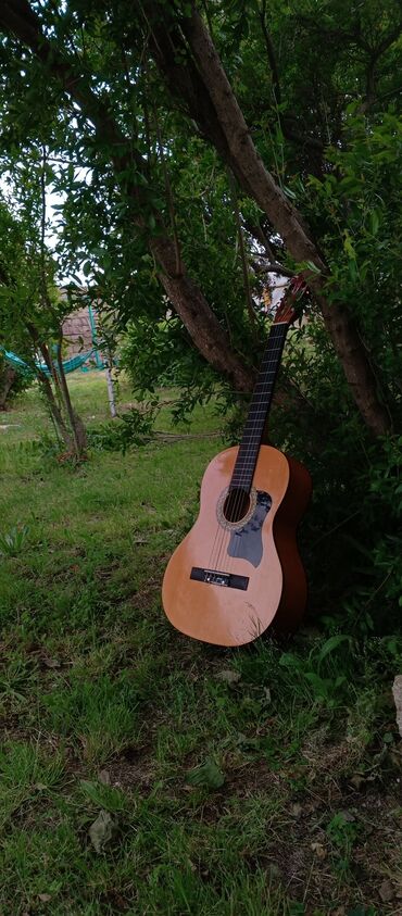 Klassik gitaralar: Klassik gitara, İşlənmiş, Ünvandan götürmə