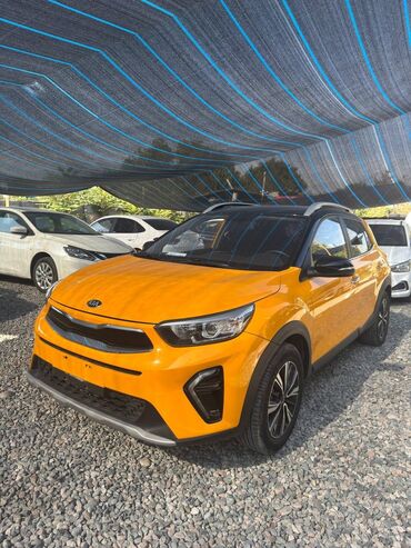реставрационный карандаш для авто: Kia Stonic: 2019 г., 1.4 л, Типтроник, Бензин, Кроссовер