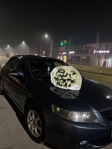титановые диски на аккорд: Honda Accord: 2003 г., 2 л, Автомат, Седан — 1