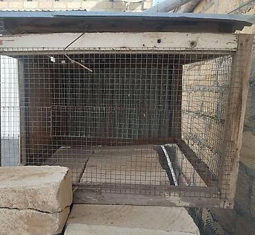 dekarativ quslar: Quş qəfəsi / heyvan saxlanma qutusu - Material: taxta çərçivə və — 1