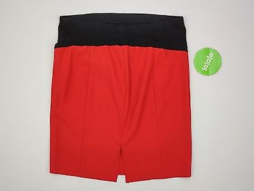 spódnice basic ciazowa: Spódnica damska, rozmiar 2XL — 3