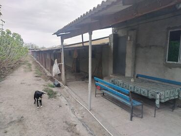 Sex, zavod və fabriklər: Ferma/təsərrüfat kompleksi - Uzunluğu boyunca tikilmiş, beton divarlı — 9