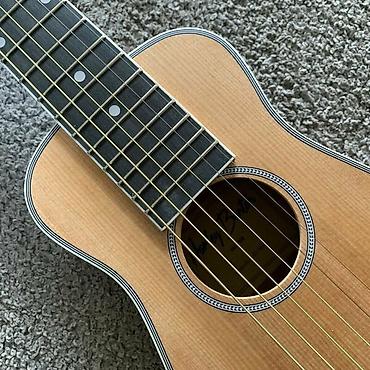 Гитары: Travel гитара "Harley Benton" Traveler E-Steel. Германия, бренд — 11