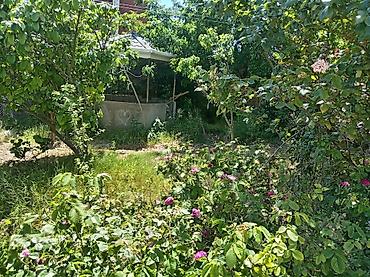 Həyət evləri və villaların satışı: Badamdar qəs. 6 otaqlı, 140 kv. m, Kredit yoxdur, Orta təmir — 5