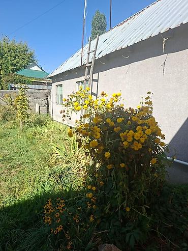 сдаю балыкчы: 🏡 *ПРОДАЁТСЯ ДОМ С УЧАСТКОМ 11 СОТОК* Продаётся уютный дом на — 4