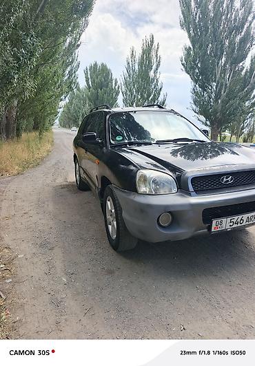 киа внедорожник: Hyundai Santa Fe: 2003 г., 2.4 л, Механика, Газ, Кроссовер — 3