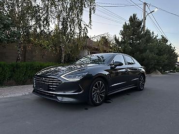 задняя шторка: Hyundai Sonata: 2022 г., 2 л, Автомат, Гибрид, Седан — 4