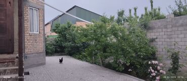 Продажа домов: Дом, 180 м², 5 комнат, Собственник, Евроремонт at lalafo.kg — 5 Продажа домов: Дом, 180 м², 5 комнат, Собственник, Евроремонт — 5