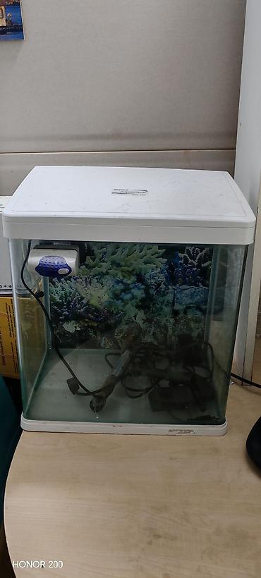 akvarium filterleri: Akvaryum dəsti – tam komplekt Tərkib: - Şüşə akvaryum (üst qapaqla — 1