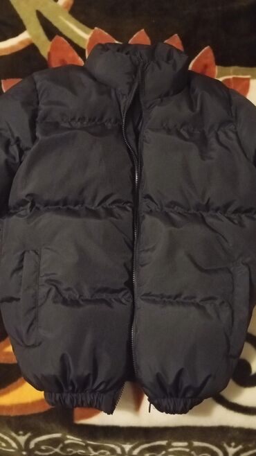 Kurtkalar: Kurtka, Bolonka, Qış, Lacoste, S — 2