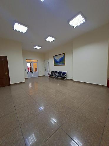 дворец: Сдаю Офис целиком: 300 м², В жилом комплексе, С ремонтом, Первая линия, С отдельным входом, С отдельным санузлом — 8
