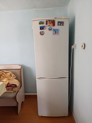 паровой утюг лаура стар: Муздаткыч Atlant, Колдонулган, Эки камералуу