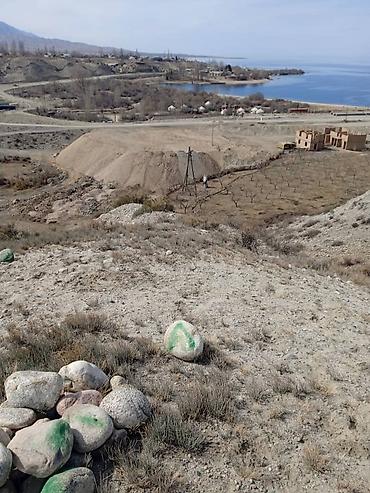 Продажа участков: 787 соток, Для сельского хозяйства, Красная книга, Договор купли-продажи — 5