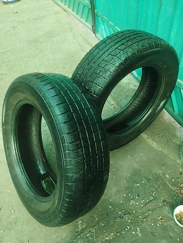 Шины: Шины — 1