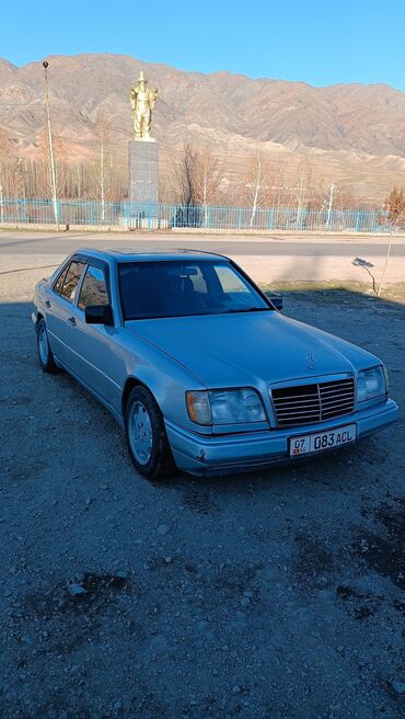 Mercedes-Benz: Mercedes-Benz W124: 1995 г., 2.2 л, Автомат, Бензин