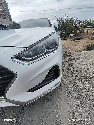 sonata: Hyundai Sonata: 2019 г., 2 л, Типтроник, Газ, Седан — 5