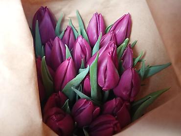Букеты из живых цветов: Тюльпаны срезанные, сортовые, упакованные партиями. - Палитра — 8
