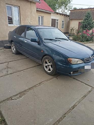 титановый: Nissan Primera: 2000 г., Автомат, Седан — 1