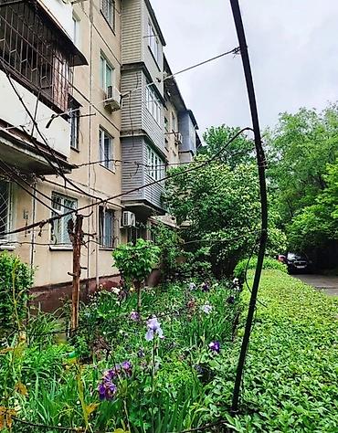 2 bedroom: 2 комнаты, 44 м², 2 этаж, Косметический ремонт — 8