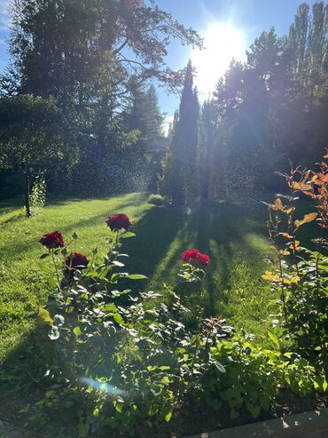 Иссык-Куль 2025: Коттедж, ЦО Радуга, Сары-Ой, Бильярд, Детская площадка, SPA — 10