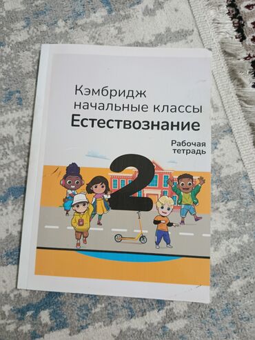 математика книга 1 класс: Кэмбридж. Начальные классы. Естествознание — комплект для 2 класса