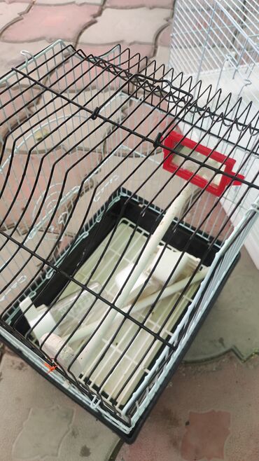 продам клетку: Клетки для птиц и грызунов. состояние отличное, цены демократичные)