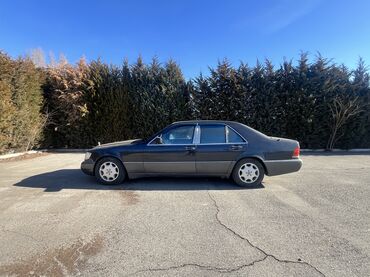Mercedes-Benz: Mercedes-Benz S-Class: 1993 г., 5 л, Автомат, Газ, Седан — 5