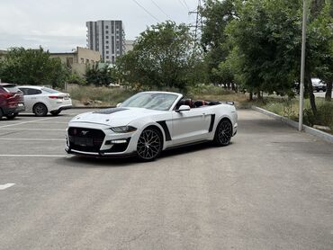 радиатор опель зафира а: Ford Mustang: 2020 г., 2.3 л, Автомат, Бензин, Кабриолет