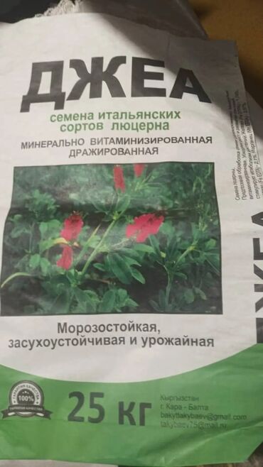 Кормовые растения: Семена кормовых растений: Люцерна, Самовывоз, Бесплатная доставка, Платная доставка — 2