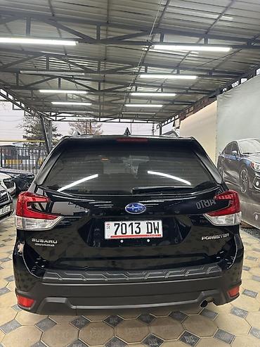 субару форестер туманик: Subaru Forester: 2020 г., 2.5 л, Вариатор, Бензин, Кроссовер — 5