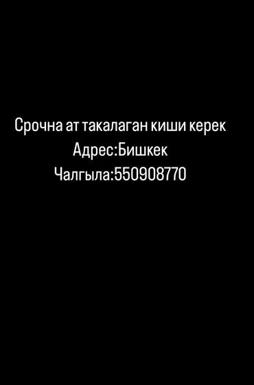 Другие услуги: Нужен человек который умеет забивать подковы! Срочно! звоните по