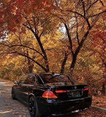 745 бмв: BMW 7 series: 2005 г., 4.4 л, Автомат, Бензин, Седан — 3