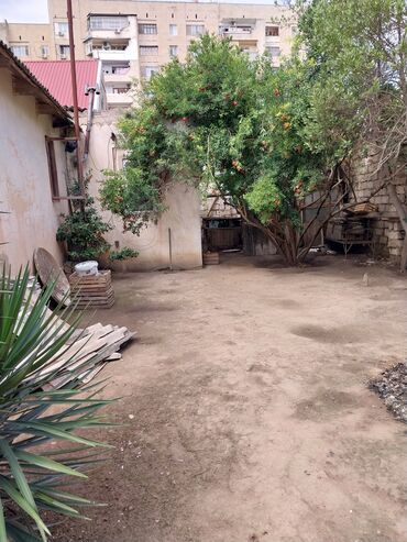 Torpaq sahələrinin satışı: 65 sot, Tikinti, Makler, Kupça (Çıxarış) — 8