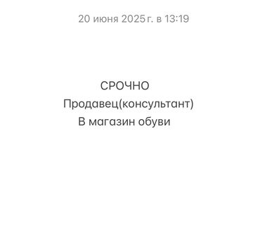 помощник повор: Продавец-консультант, До 1 года опыта, Студент