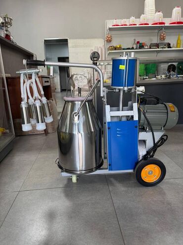 молочные козы: Доильный аппарат с одним ведром, новый. 220V. Ведро 10л