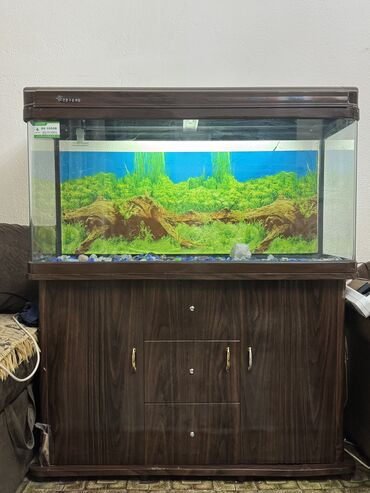 малек форели бишкек: 🐠 Аквариум с тумбой 📏 Размер: 1040•370•560 мм Объем около 200