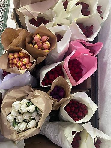 Букеты из живых цветов: Тюльпан гулдору оптом 95сом штук Штучно 130 сом. Оптом от 150шт - — 3