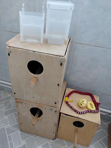quş yuvası düzəltmək: Quşlar üçün ləvazimatlar dəsti - Taxta quş yuvaları: 3 ədəd - — 1