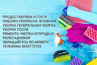 полисай: Уборка помещений, | Генеральная уборка — 1
