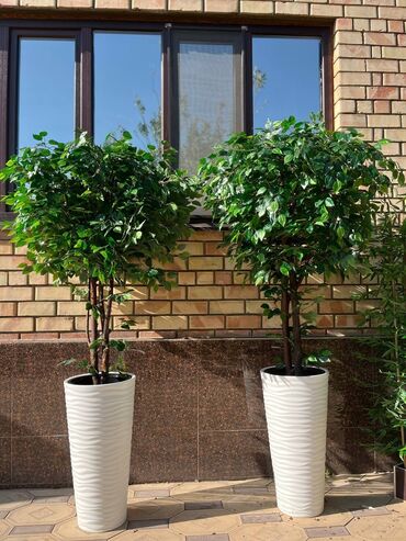 Декоративные цветы: Искусственные деревья и цветы — долговечный и стильный декор без at lalafo.kg — 28 Декоративные цветы: Искусственные деревья и цветы — долговечный и стильный декор без — 28