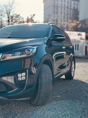 Kia: Kia Sorento: 2019 г., 2 л, Автомат, Дизель, Кроссовер — 3