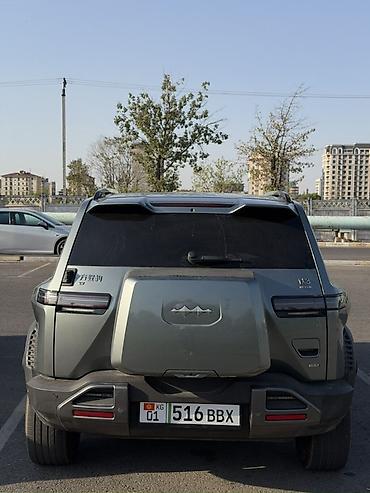 слиф понтеры: BYD FangChengBao Leopard 3: 2025 г., Электромобиль, Кроссовер — 3