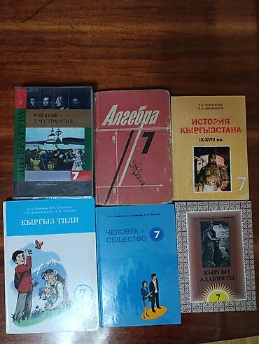 Другие комплектующие: ШКОЛЬНЫЕ УЧЕБНИКИ комплект разных предметов и классов — 2