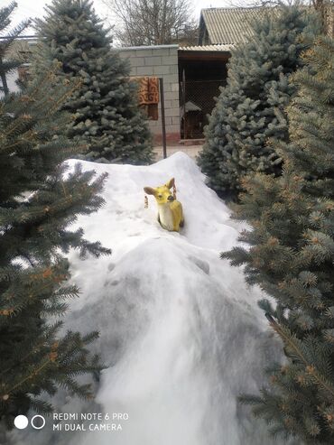 Продажа домов: Дом, 190 м², 8 комнат, Собственник — 33