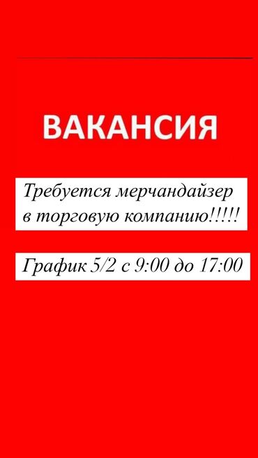 Мерчендайзерлер: Алкогольная компания! Требуется мерчандайзер, по городу Бишкек!